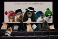 Dogs in cinema watching advertising