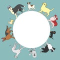 Dogs circle frame with copy space