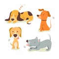 Cute dogs illustration coloured vector design. Vector illustration of funny cartoon different breeds dogs in trendy flat style Royalty Free Stock Photo