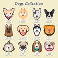 dogs collection, vector