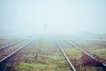 Dogs crossong railway pedestrian cross Royalty Free Stock Photo