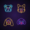 Dogs cute kawaii neon light characters