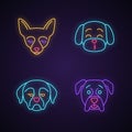 Dogs cute kawaii neon light characters