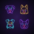 Dogs cute kawaii neon light characters