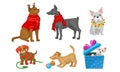 Dogs of Different Breeds Collection, Cute Pet Animals with Christmas Accessories Vector Illustration