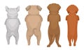Dogs of Different Breeds Standing on Hind Legs Vector Set