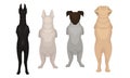 Dogs of Different Breeds Standing on Hind Legs Vector Set