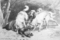 Dogs drove a boar by Gelibert in the old book Catalogue Illustre, by L. Baschet, 1898, Paris