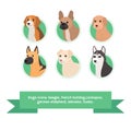 Dogs flat icons set with french bulldog cockapoo beagle german shepherd labrador husky. vector illustration