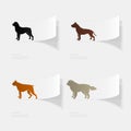 Dogs. Flat sticker with shadow on white background