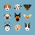 Dogs in flat style