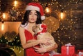 Dogs friendly concept. Sexy woman in santa hat hug puppy. Sensual girl in erotic lingerie. Animals rights. Little cutie Royalty Free Stock Photo