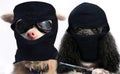 Dogs gangster couple Royalty Free Stock Photo