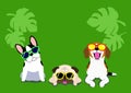 Dogs with glasses background