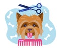 Dogs grooming. Haircut puppy. Salon for animals