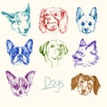 Dogs - hand drawn set Royalty Free Stock Photo