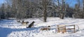 Dogs having some rest - Dogsledding - Quebec - Panorama Royalty Free Stock Photo
