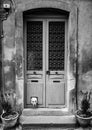 Dogs head through cat flap - black & white Royalty Free Stock Photo
