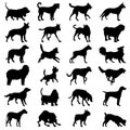Dogs icons set great for any use. Vector EPS10. Royalty Free Stock Photo