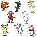 Dogs illustration cartoon