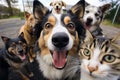 Dogs kids relax A Vacation time,travvel trip, funny Generative AI