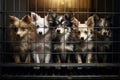 Dogs locked in cage. Unhappy puppies in cramped jail behind bars with sad look. Concept of keeping animals in captivity Royalty Free Stock Photo