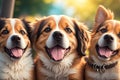 3 dogs looking at the camera, wide angle portrait ai generative