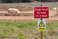 `Dogs must be kept on a lead` sign in front of outdoor reared Suffolk pigs. There is also a warning sign for an electric fence Royalty Free Stock Photo