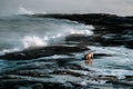 Dogs on northshore at Barents Sea