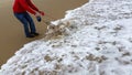 Dogs in ocean - Man - body only- holds three fluffy white dogs on short leashes and they play in the surf