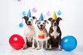 Dogs with party hats and balloons celebrate life on white background. Generative AI
