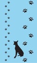 Dogs paws Royalty Free Stock Photo