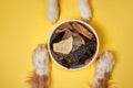 Dogs paws circle a bowl of treats against a vibrant yellow backdrop