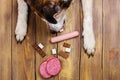 Dogs paws and neb and heap of forbidden dogs meal on wooden background