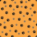 Dogs paws traces. illustration. Black and grey stamps on orange background. Seamless pattern. For logo, wallpaper
