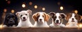 A dogs peeking over wooden edge. Web promotional banner for pet shop or vet clinic. Background with cute pets.