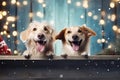 A dogs peeking over wooden edge. Web promotional banner for pet shop or vet clinic. Background with cute pets. Royalty Free Stock Photo