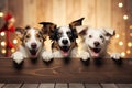 A dogs peeking over wooden edge. Web promotional banner for pet shop or vet clinic. Background with cute pets.