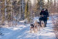 Dogs and people look happy on a dogsled ride through the forest.