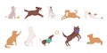 Dogs pets play, cartoon cute various doggy characters set Royalty Free Stock Photo