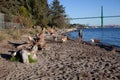 Dogs playing off leash on the beach at Ambleside Dog Beach under the Lionsgate Bridge