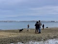 Dogs Playing and Young Lovers at Portland Maine`s East End Beach in January