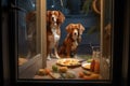 dogs reflection in a glass door, looking at food inside Royalty Free Stock Photo