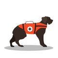 Dogs rescuer, terrier breed. Cadaver dog for finding people.