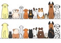 Dogs in a row with copy space,front and back Royalty Free Stock Photo