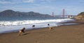 Dogs Running on San Francisco`s Baker Beach Royalty Free Stock Photo