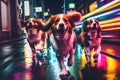 Dogs running towards you at night dog