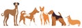 dogs set in flat design Royalty Free Stock Photo