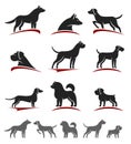 Dogs set. Vector Royalty Free Stock Photo