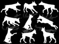 Dogs silhouette Royalty Free Stock Photo